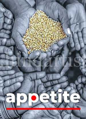 Book Cover Appetite Design