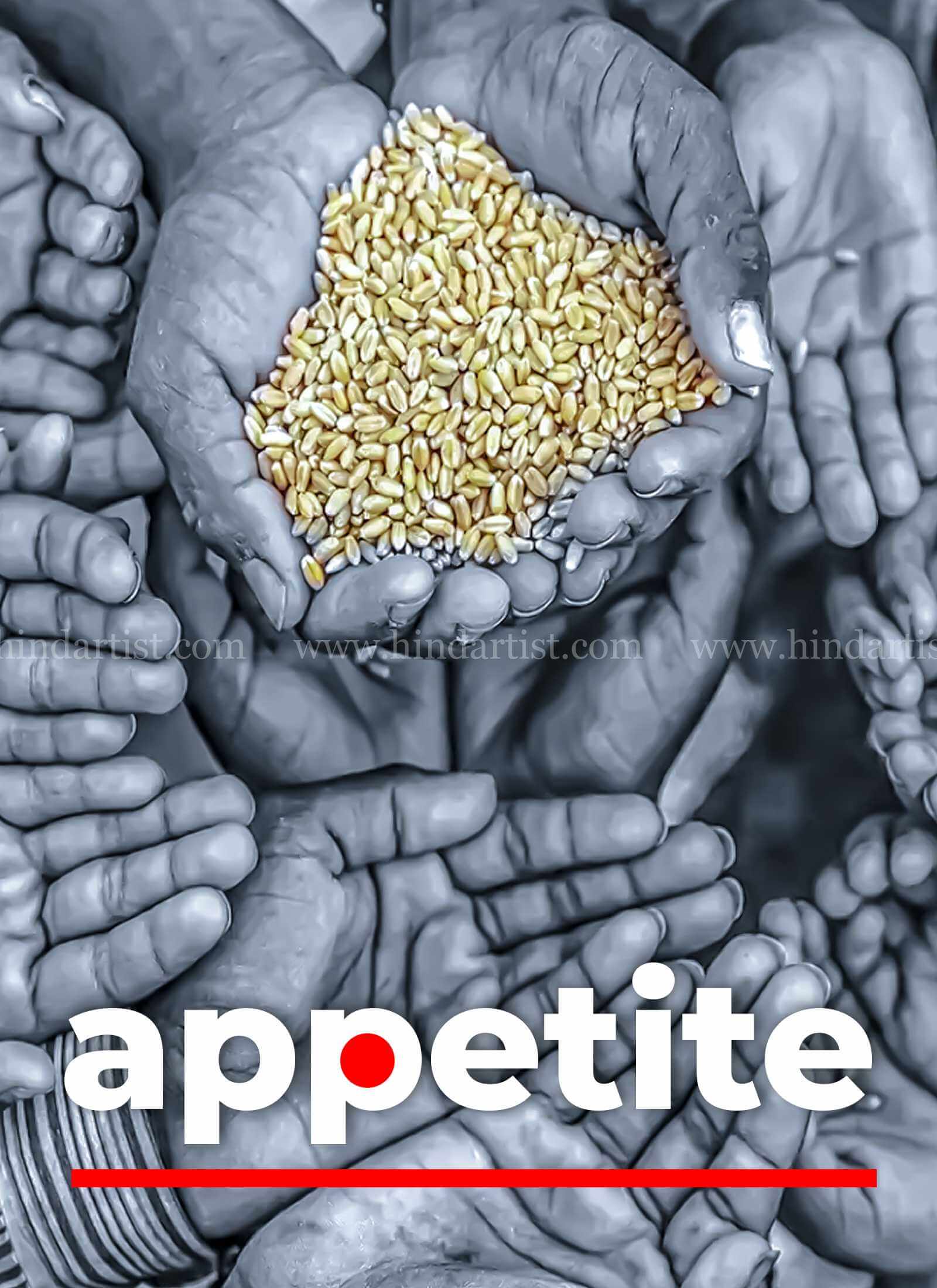 Book Cover Appetite Design - Image 2