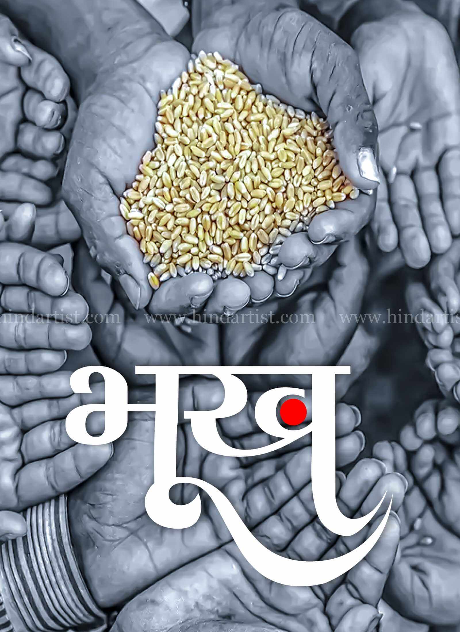 Book Cover Bhookh Design - Image 2