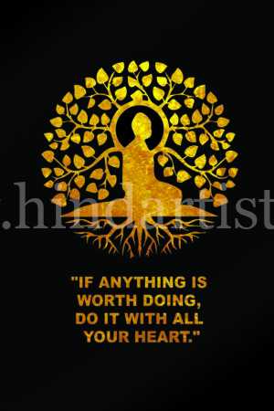 Budh Tree Meditation