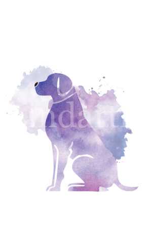 Dog water color art