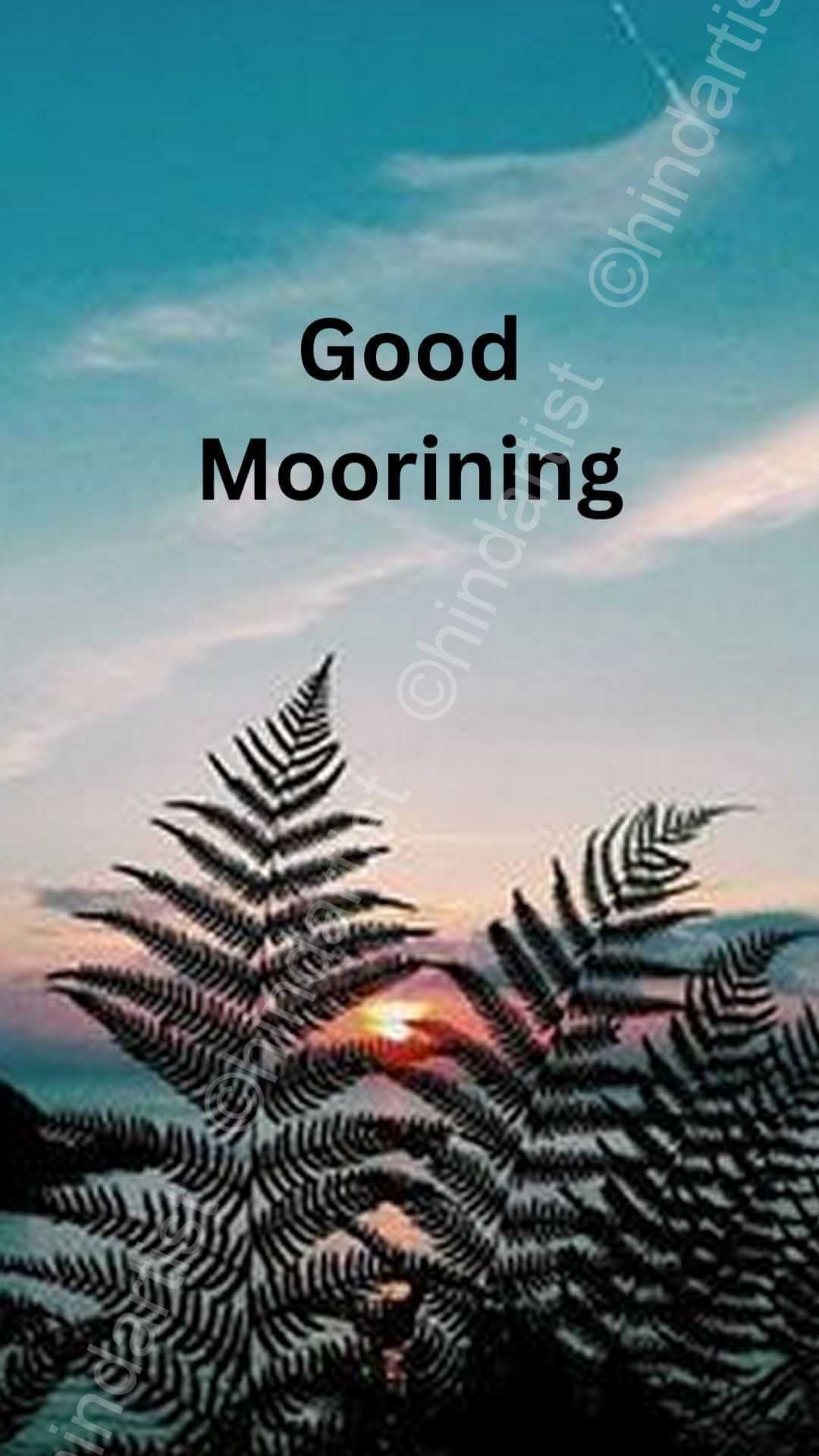 good morning/ positive quotes/ morning/sunrise/sunrise quote